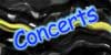 Dates concerts Sloot.